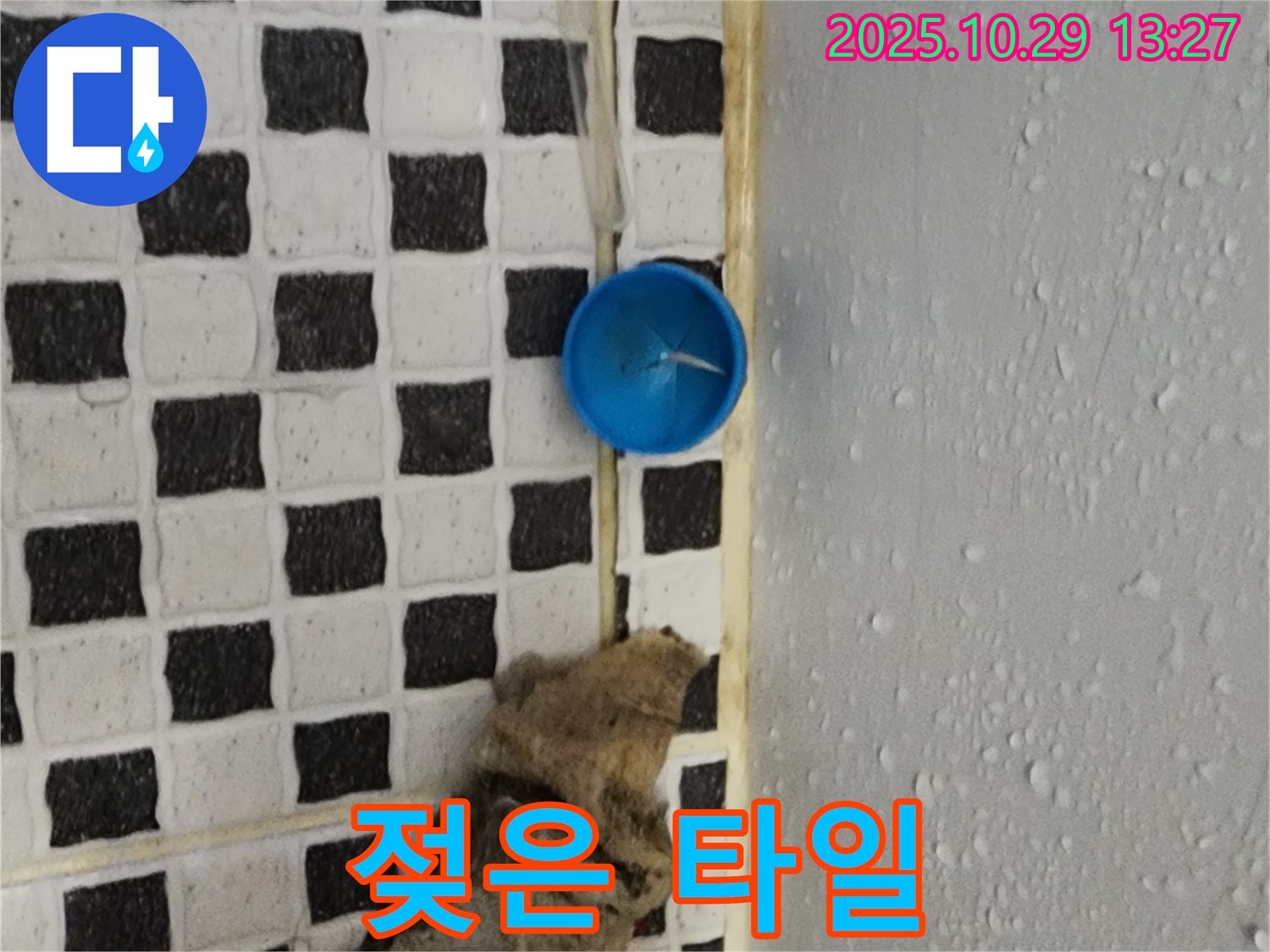 양주시 산북동 누수 - 젖은 타일, 곰팡이 번식 위험 증가!