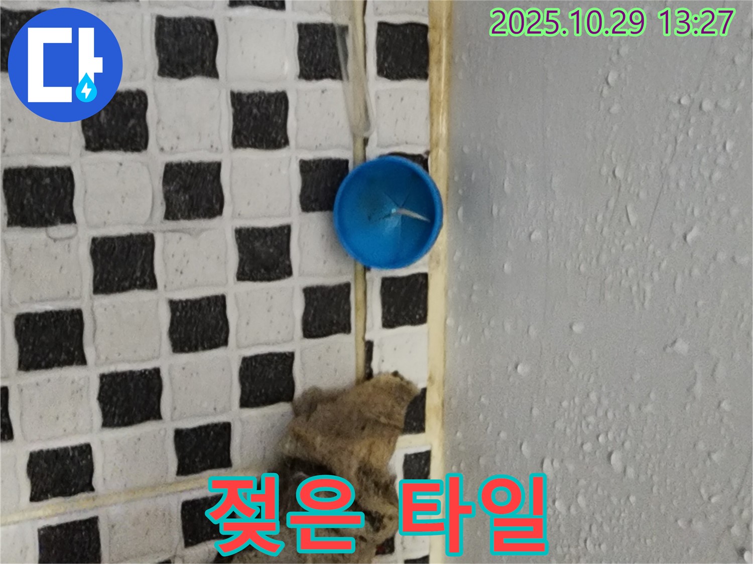 양주시 산북동 누수 - 젖은 타일 - 곰팡이 번식 위험 증가 - 냄새의 원인일 수도 있습니다