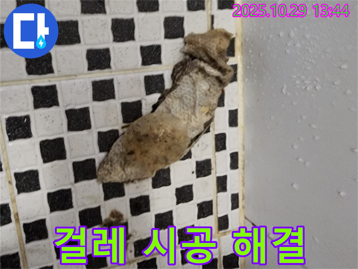 양주시 산북동 누수 현장 - 젖은 걸레 발견, 완벽한 시공으로 누수 해결
