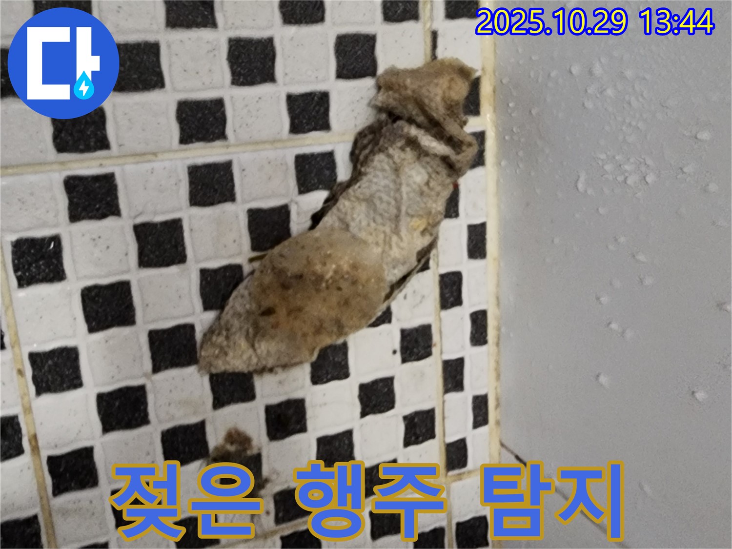 양주시 산북동 누수 현장 - 젖은 행주 발견, 꼼꼼한 탐지로 누수 해결
