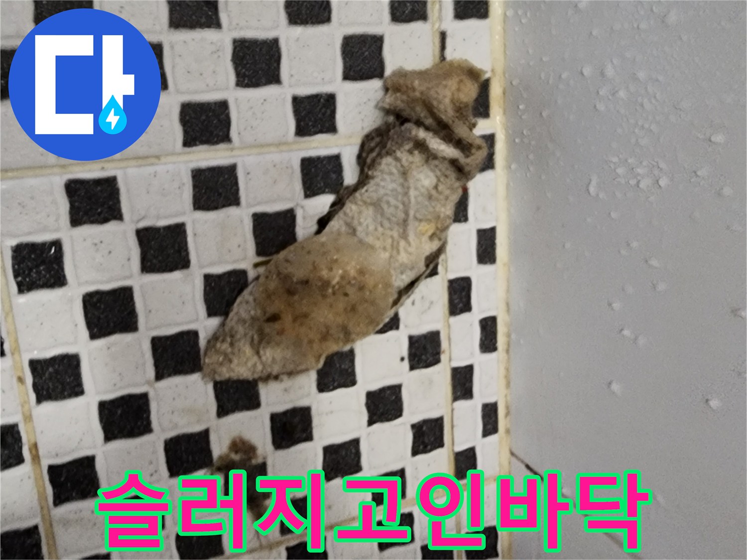 양주시 산북동 현장-체크 타일 사이의 젖은 슬러지 상태