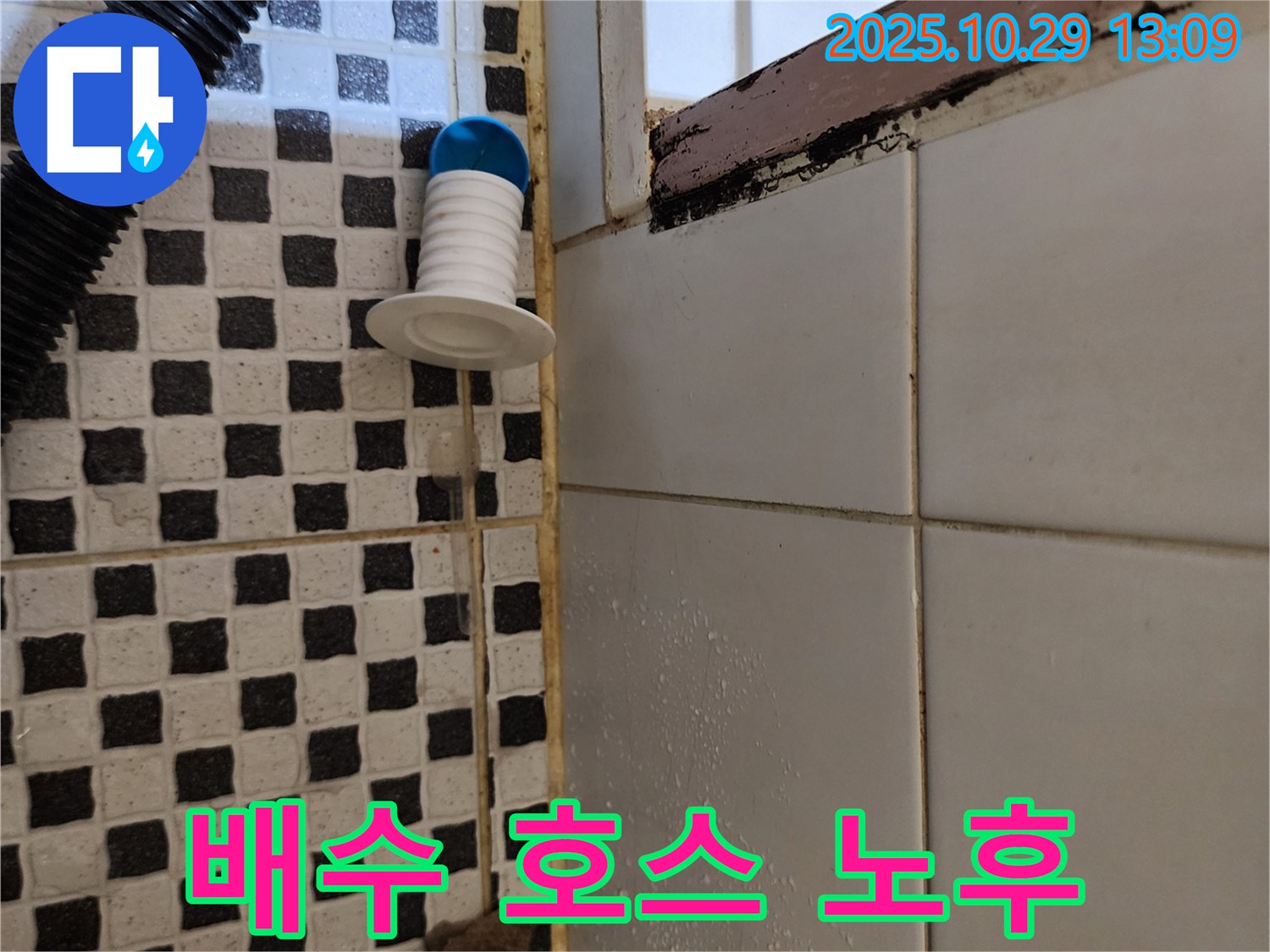 욕조 하부 배수 호스 노후 - 새 호스로 교체 작업 진행