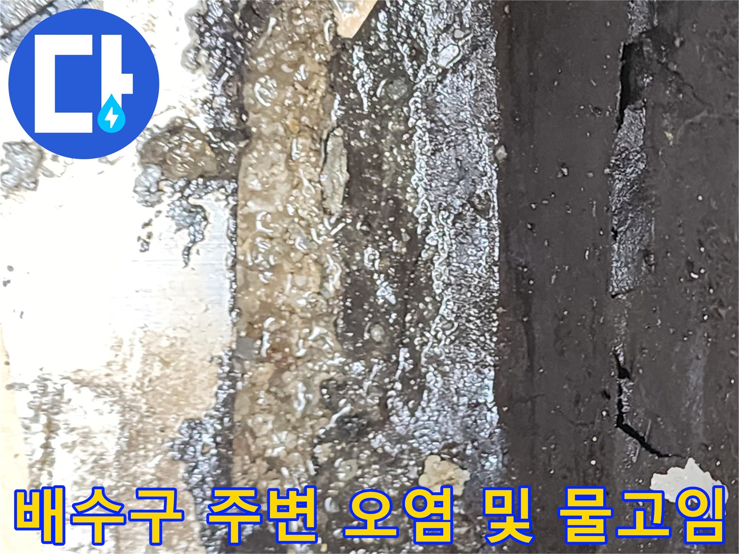 화장실-배수관-주변에-슬러지와-함께-물이-고여있는-상태