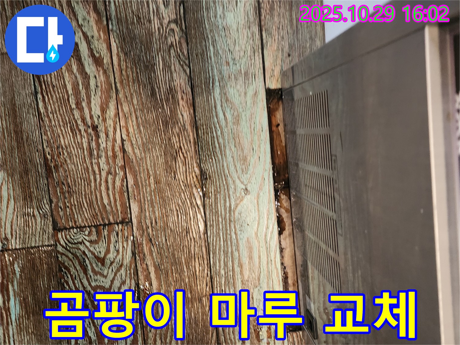 곰팡이 핀 마루 교체 - 양주 마전동 누수 전문 업체가 렌지후드 누수로 곰팡이 핀 마루를 교체하고 누수 원인을 해결했습니다.
