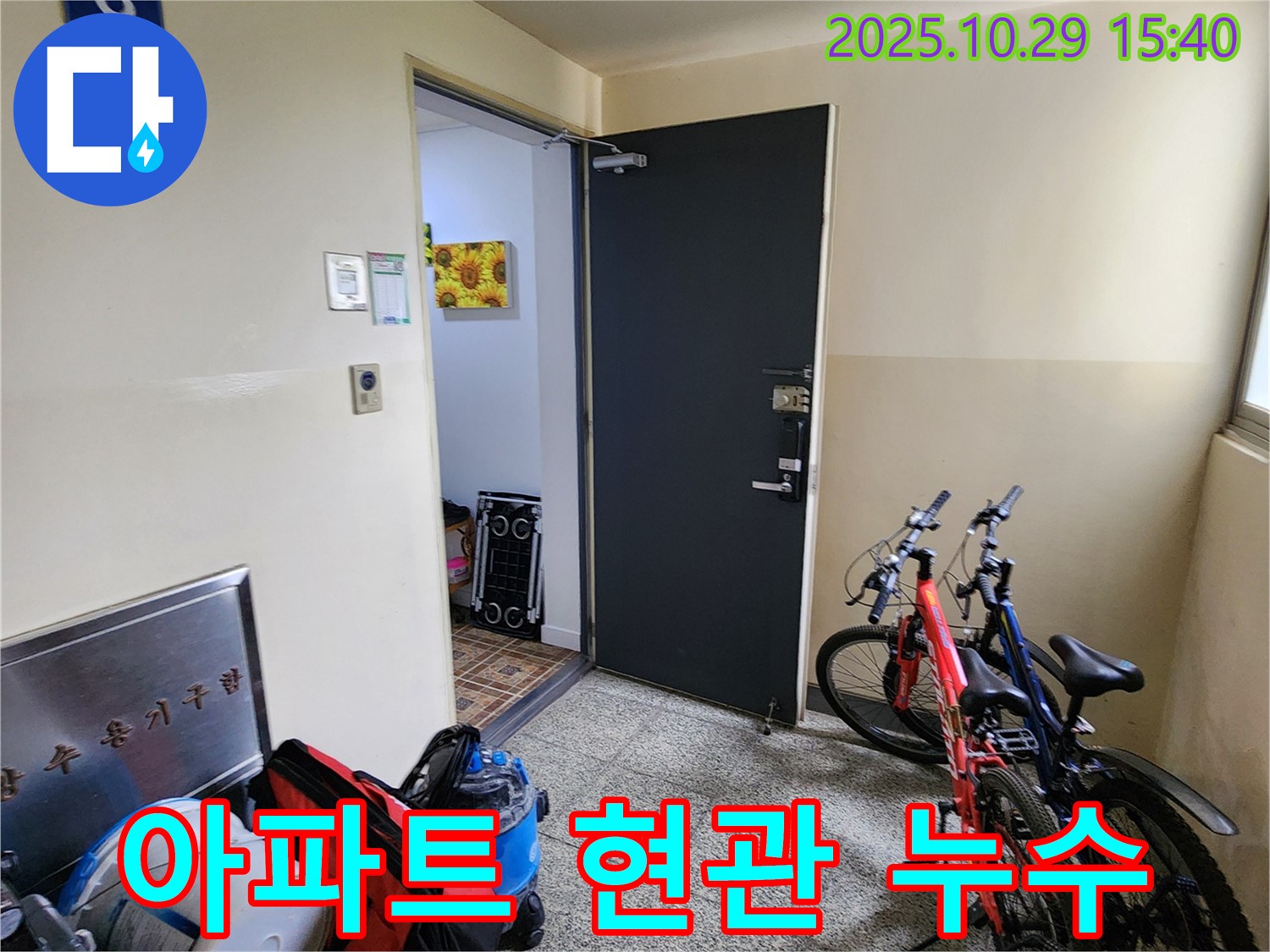 양주시 마전동 아파트 누수 - 현관 주변 누수 문제 해결 과정