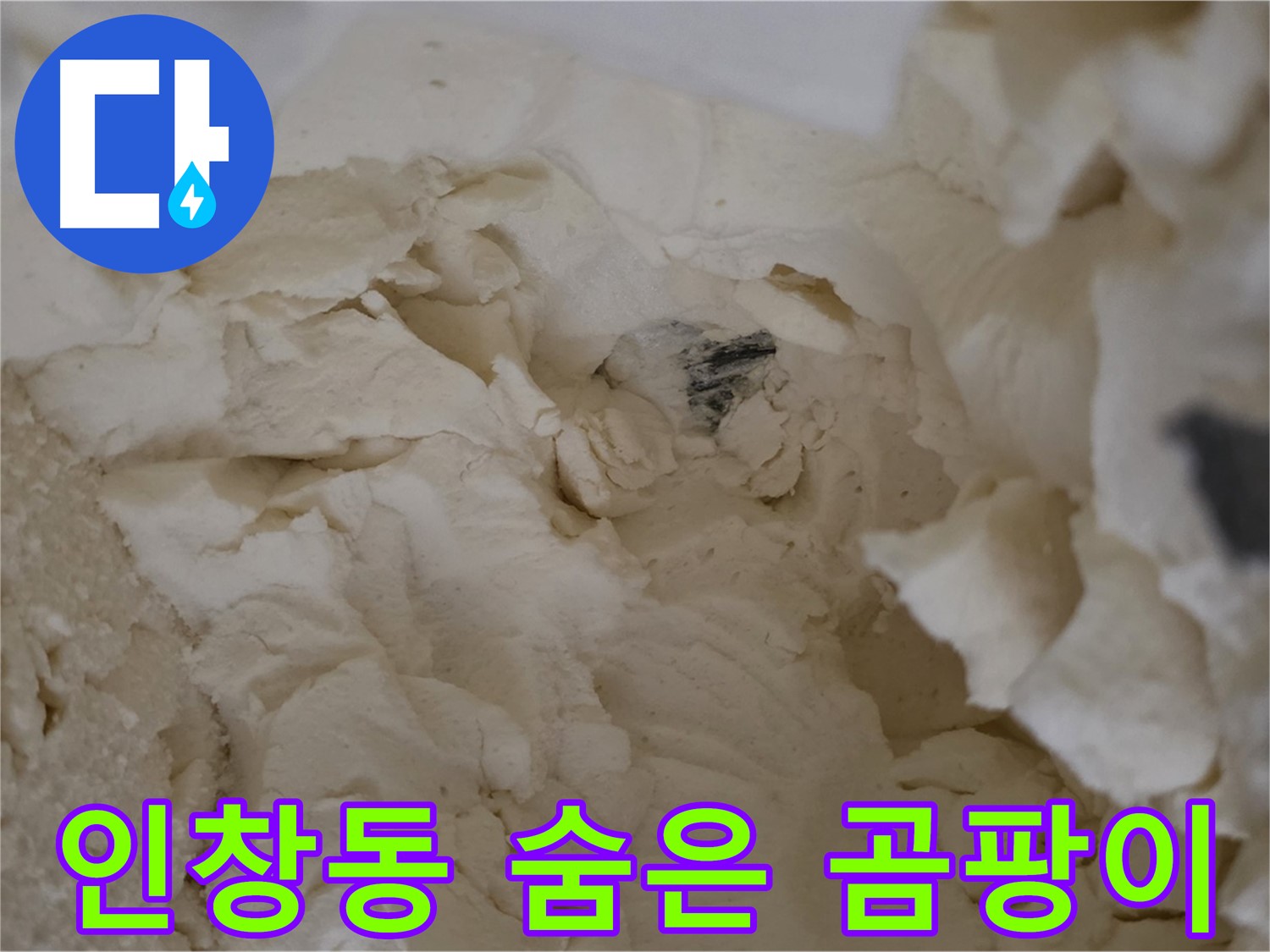 인창동 누수 - 꼼꼼한 점검으로 찾아낸 숨겨진 배관 곰팡이