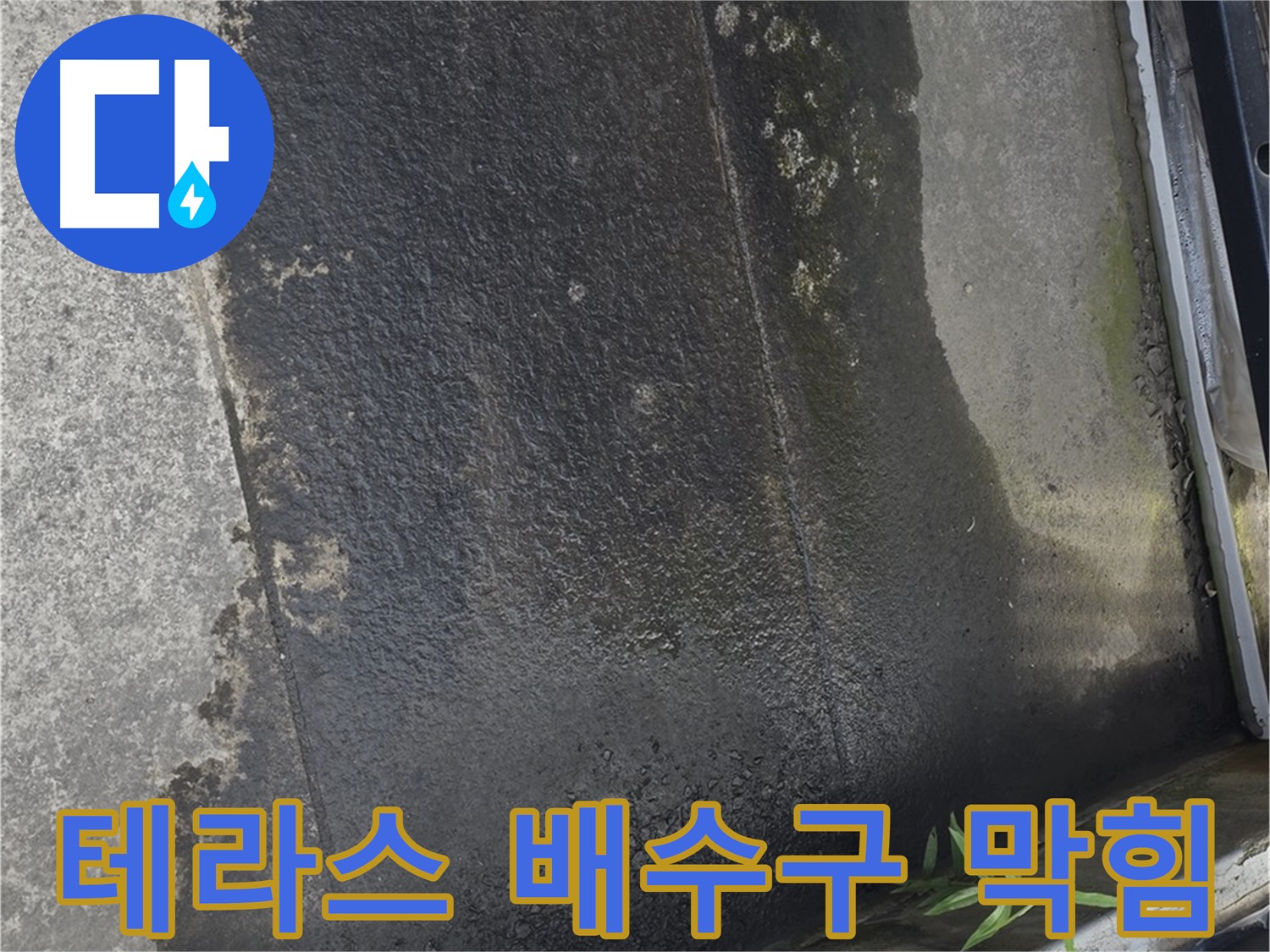 테라스 배수구 막힘 - 누수 위험! 청소가 필수입니다!