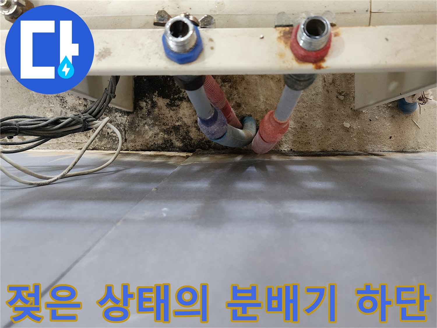 습기와 곰팡이로 오염된 분배기 아래쪽 배관 연결 구간