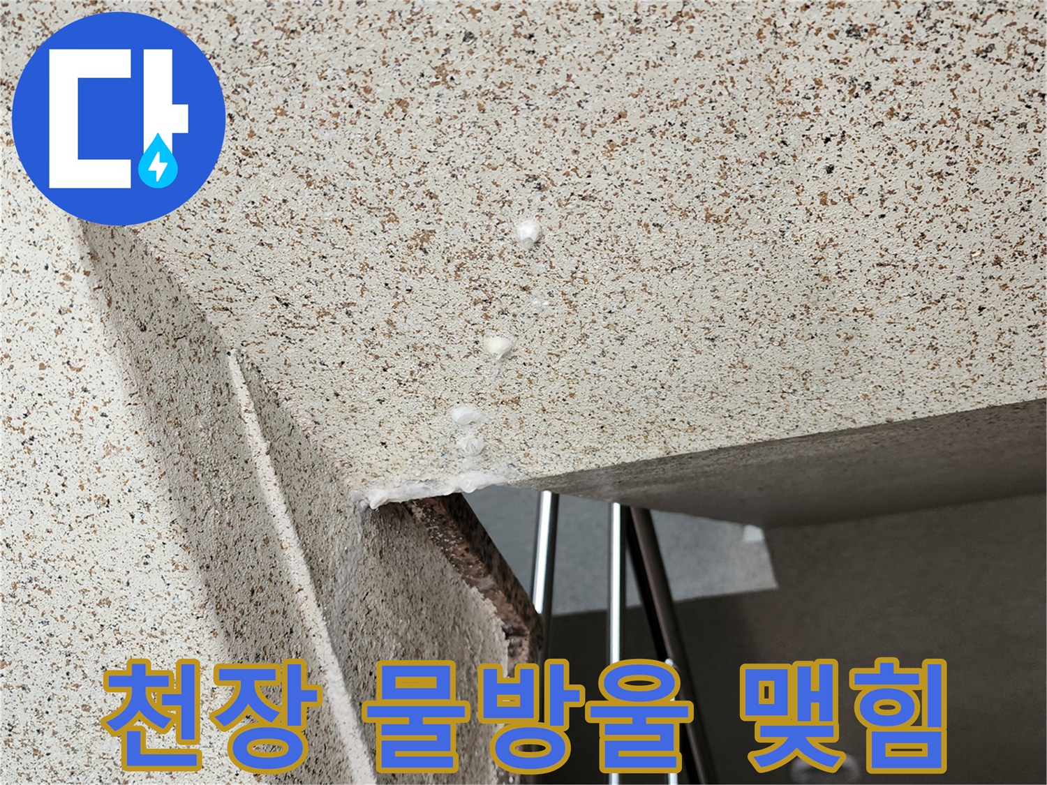 양주 옥정동-아파트 천장에 맺힌 물방울과 습기 현상