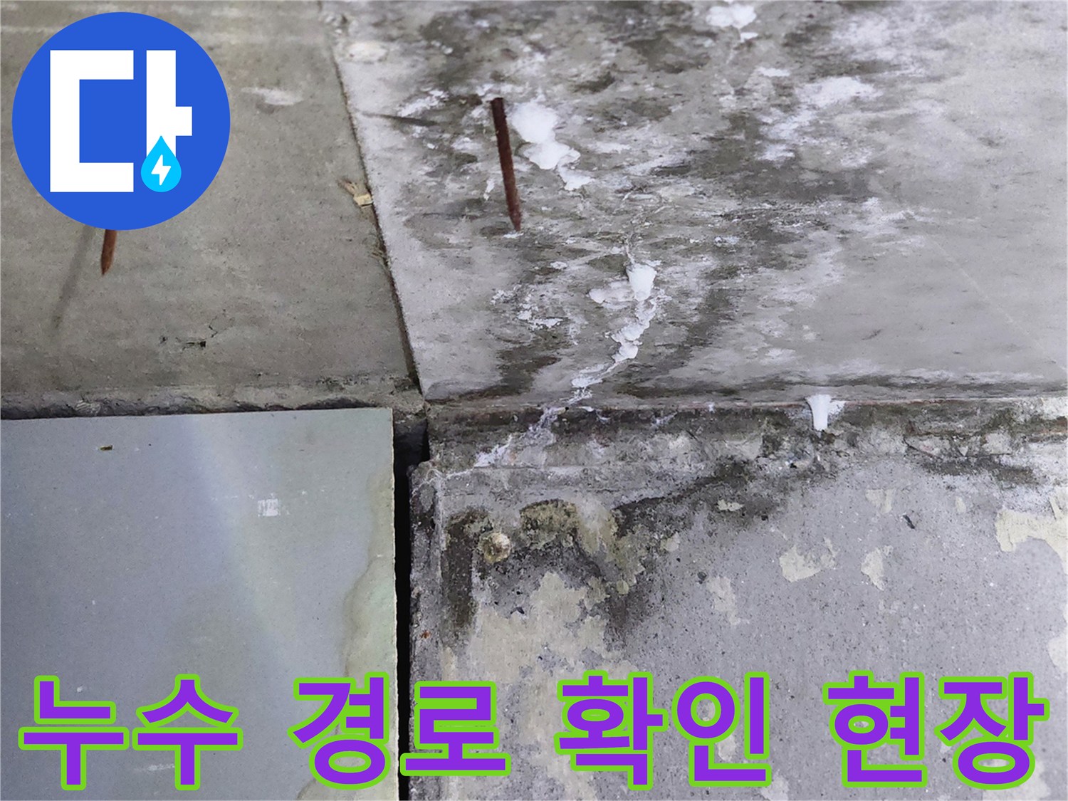 습기가 침투한 벽체와 바닥-부식된 못과 젖은 타일면