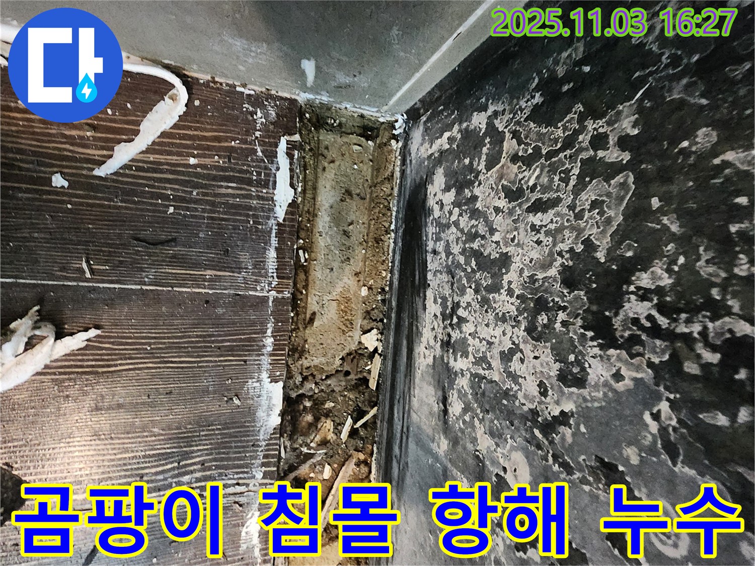 양주시 덕정동 누수 - 곰팡이와 함께 침몰하는 공간! 누수와의 마지막 항해를 시작합니다!