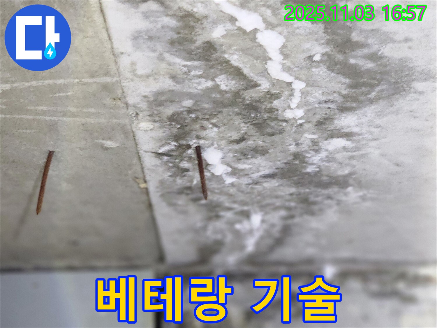 양주시 삼숭동 누수 현장 - 오랜 경험을 가진 베테랑 기술자가 꼼꼼하게 솟은 못 누수를 해결합니다.