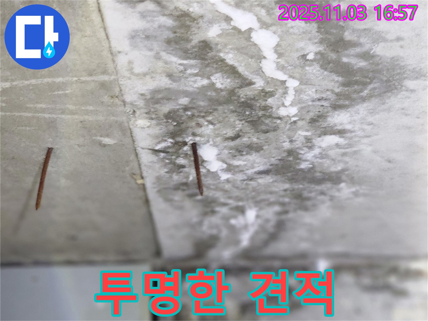 양주시 삼숭동 누수 현장 - 투명한 견적을 제공하여 고객님의 신뢰를 얻겠습니다 - 솟은 못 누수, 안심하고 맡겨주세요.