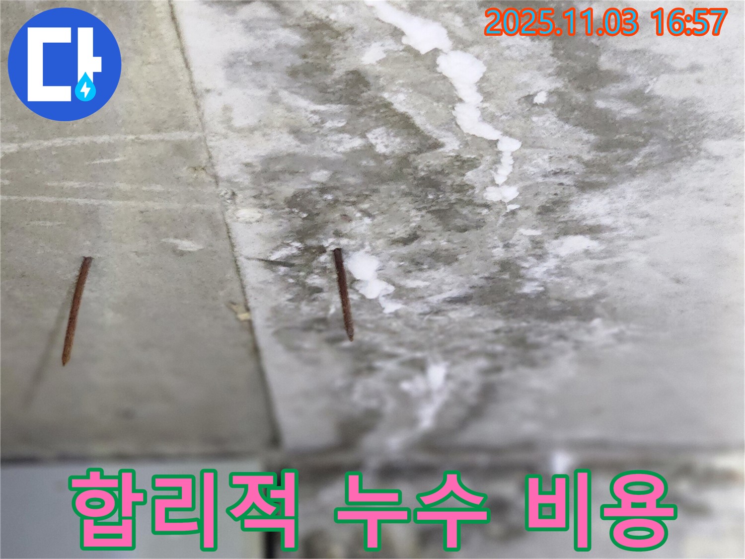 양주시 삼숭동 누수 현장 - 합리적인 비용으로 누수 문제를 완벽하게 해결해 드립니다.