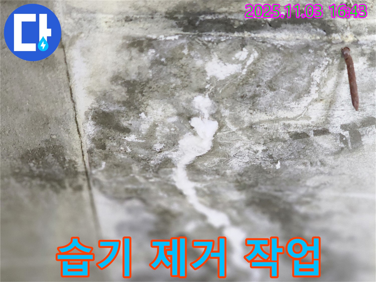 콘크리트 바닥 습기 제거 작업 - 누수 해결 후 습기를 제거하여 곰팡이 발생을 막는 과정을 보여주는 이미지입니다.