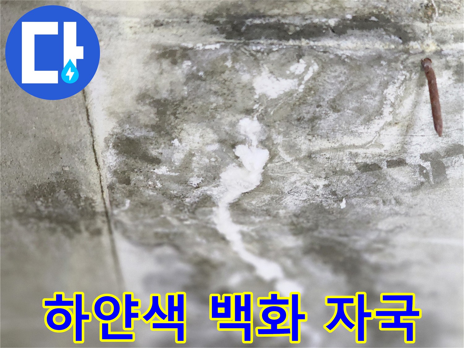 콘크리트 표면에 하얗게 올라온 배관 누수 흔적