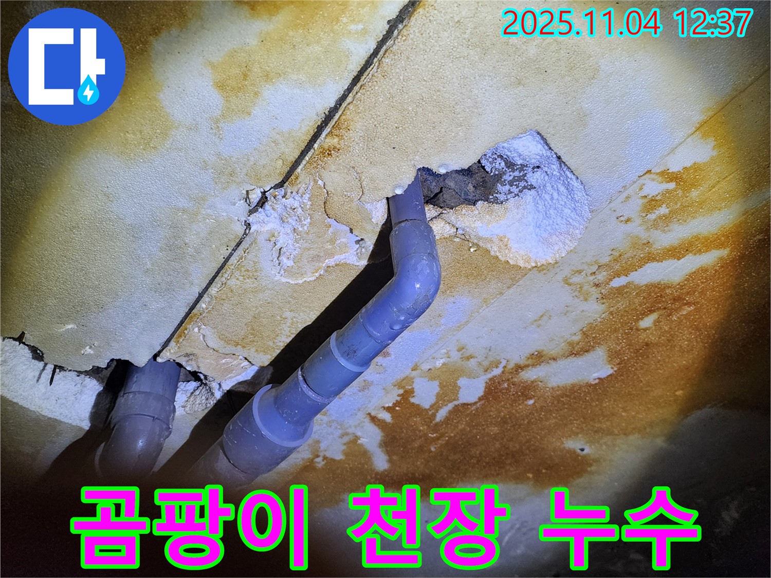 포천 소흘읍 - 곰팡이와 석회 자국이 심각한 천장 누수