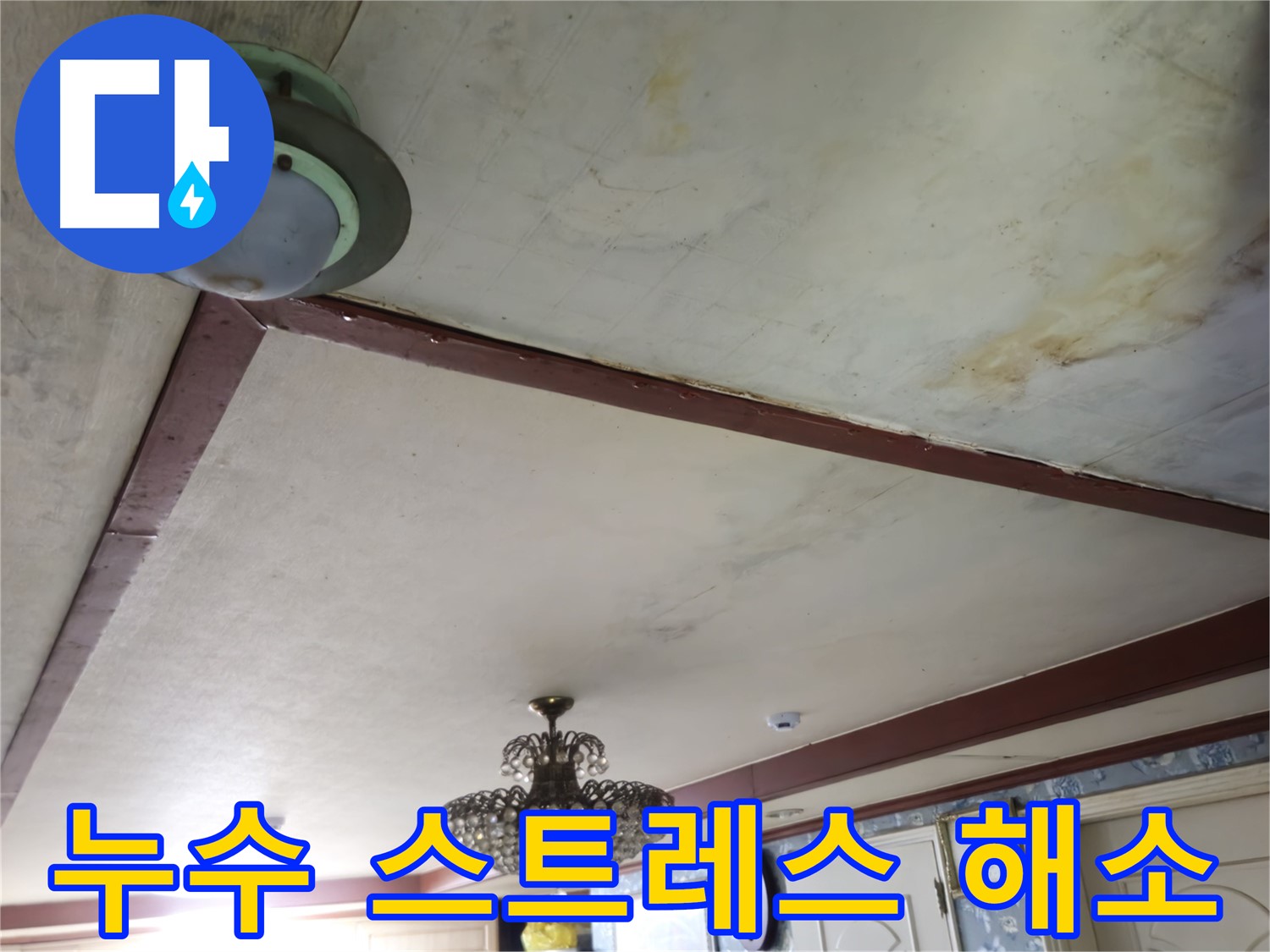 누수 스트레스 해결 - 완벽한 시공으로 보답