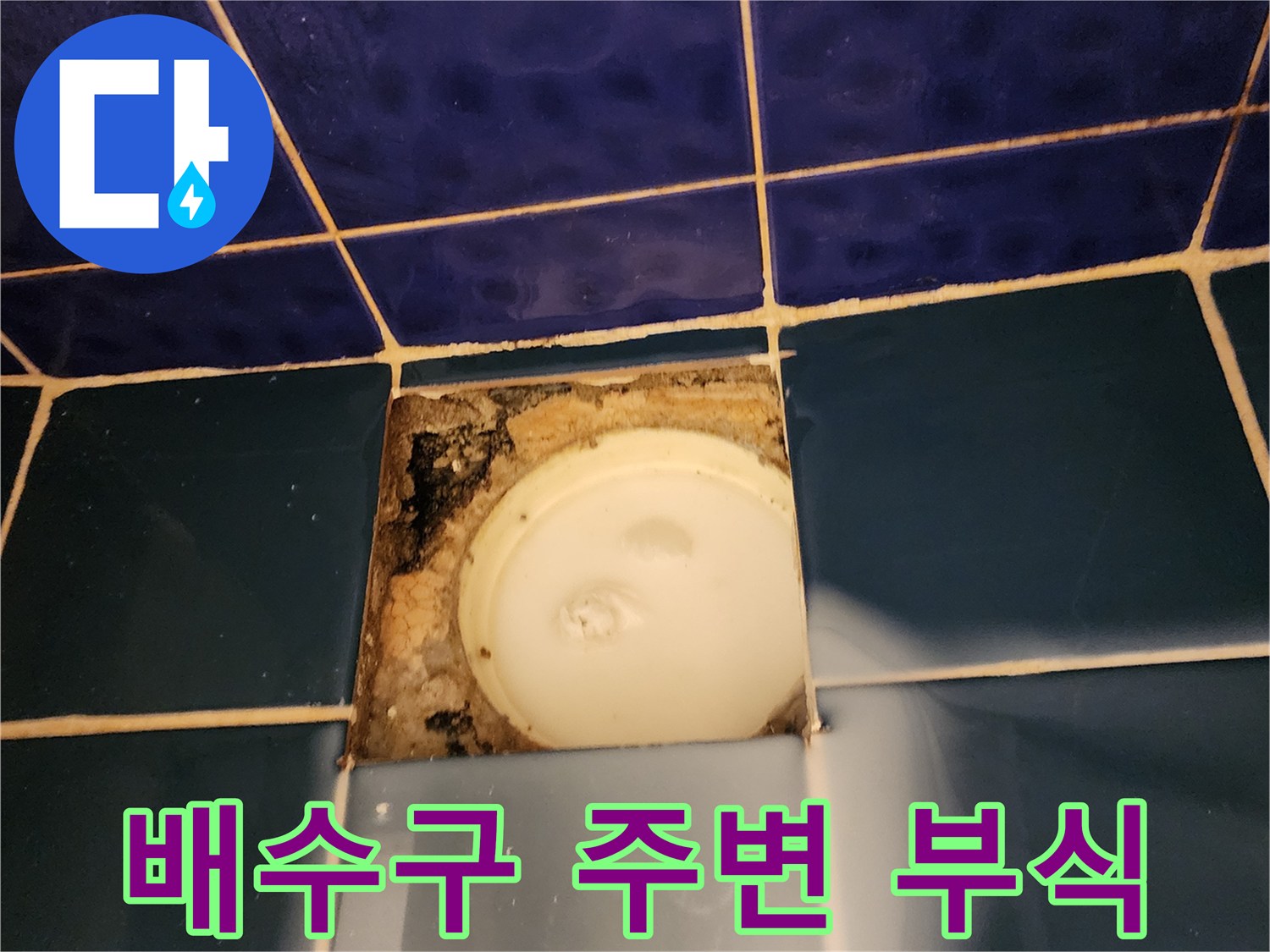 욕실 바닥 타일 - 노후된 배수 트랩과 곰팡이 발생 부위