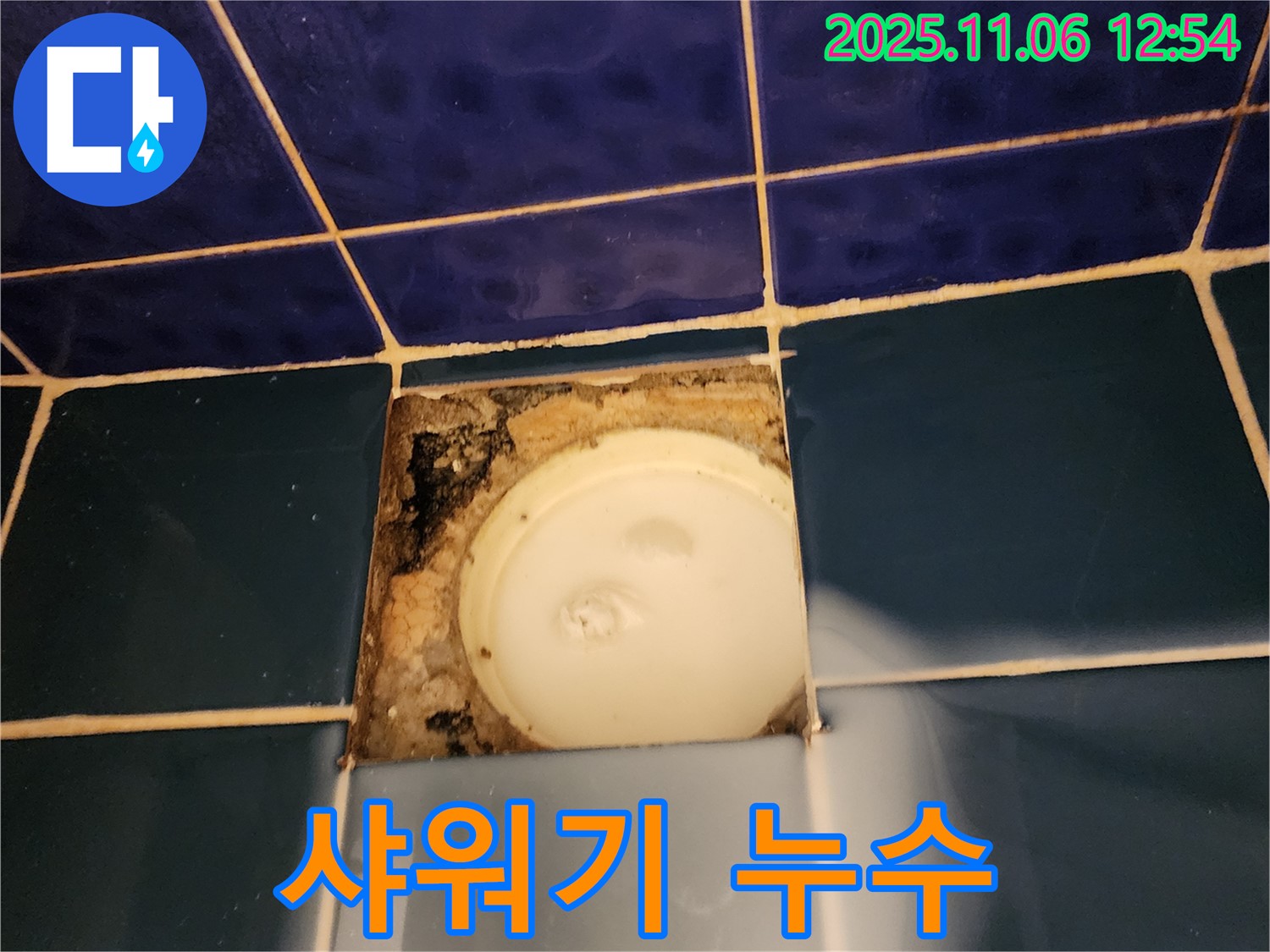 포천 소흘읍 고모리 욕실 샤워기 누수 - 부품 교체 및 연결 부위 점검