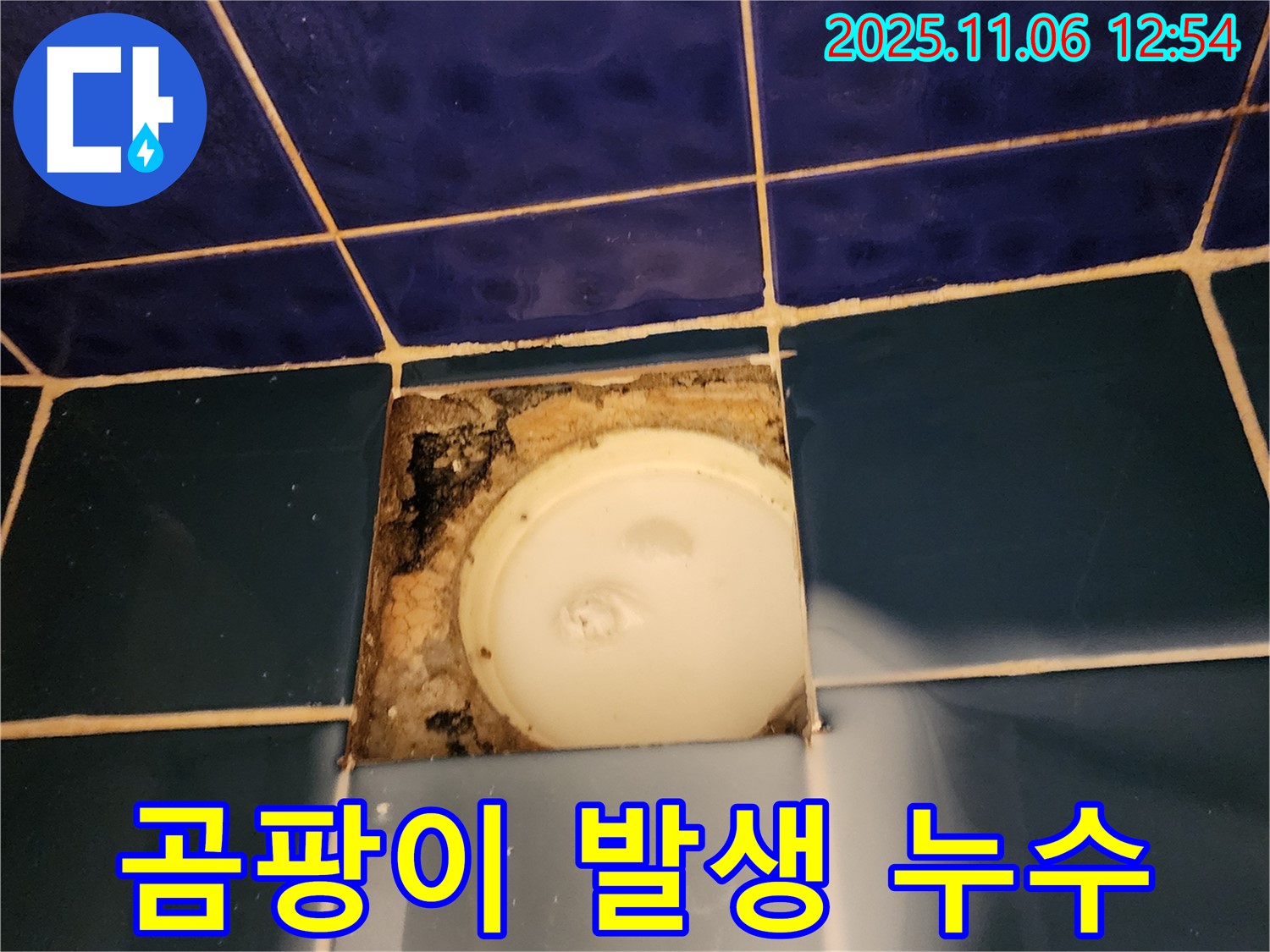 포천 소흘읍 고모리 욕조 배수구 - 주변 곰팡이 발생 및 누수 해결 작업