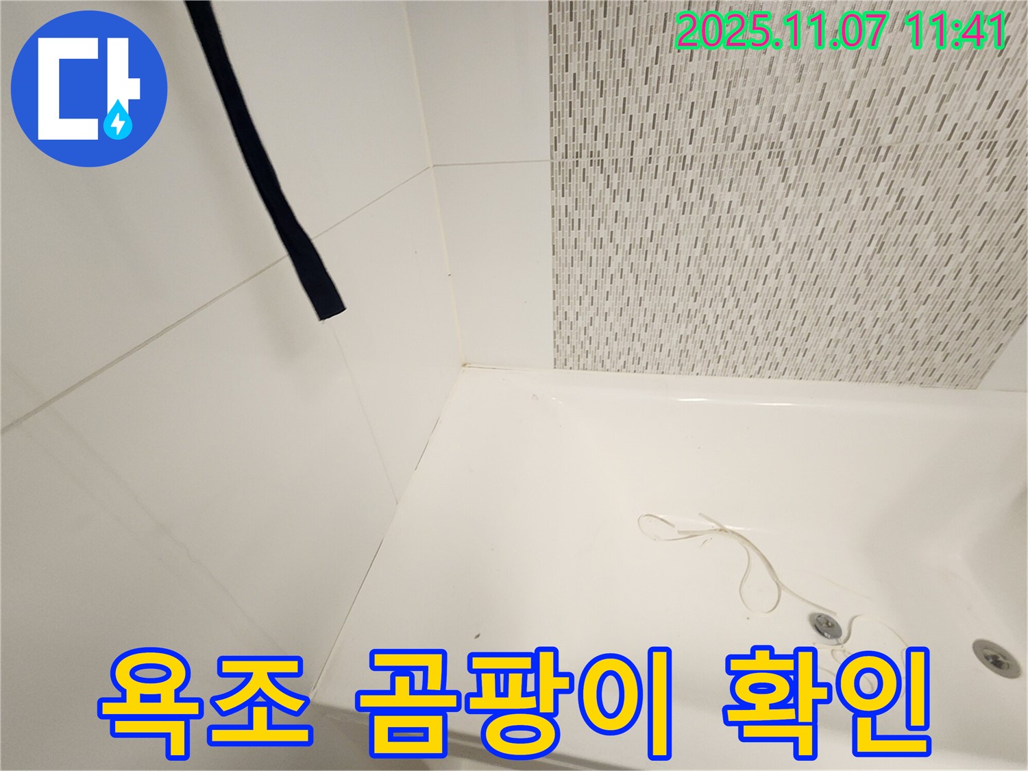 사우동 욕실 풍년마을 욕조 곰팡이 - 누수와 곰팡이 동시 점검