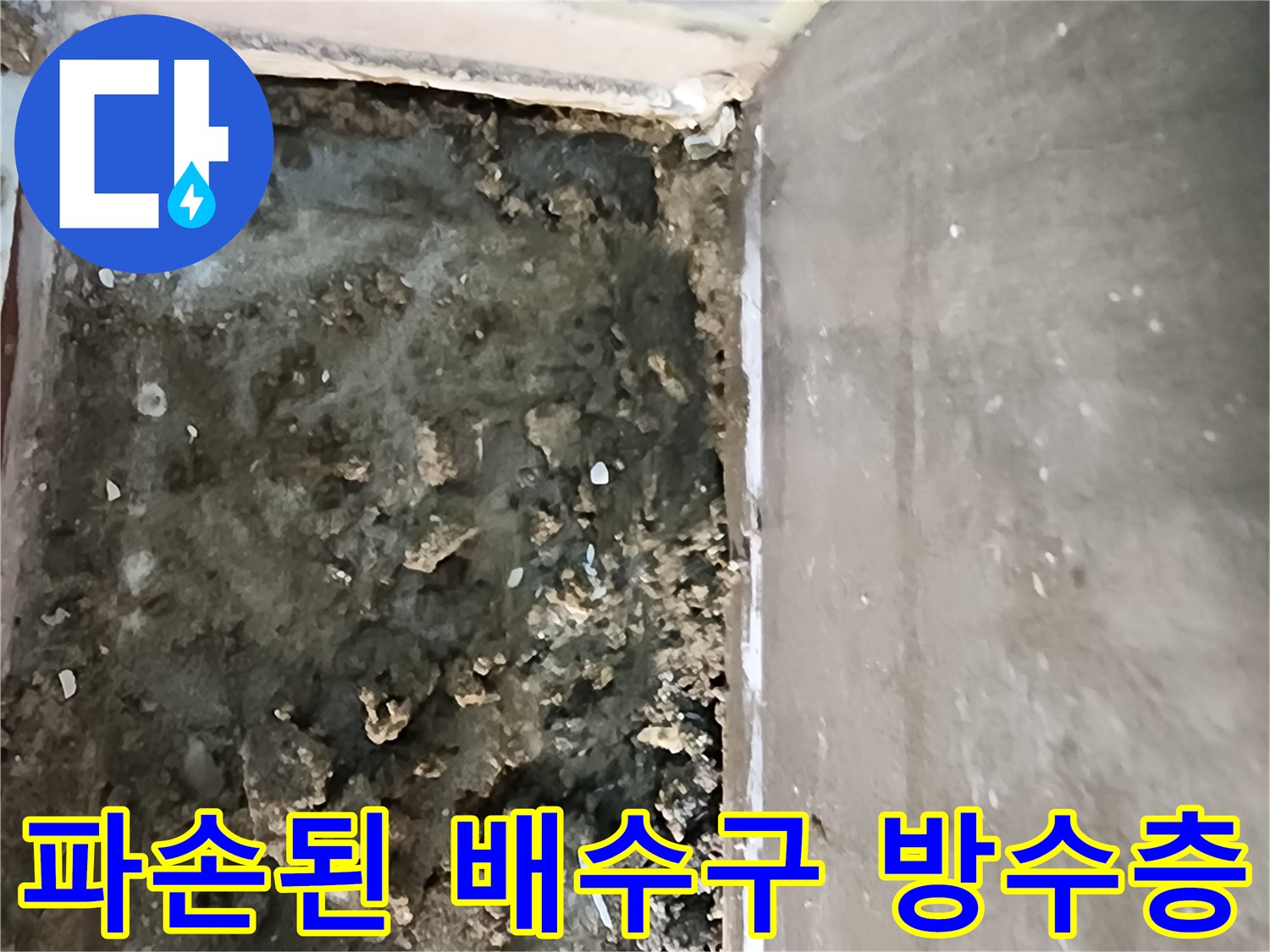 의정부-신곡동-샤워실-배수구-주변-방수층-파손-상태