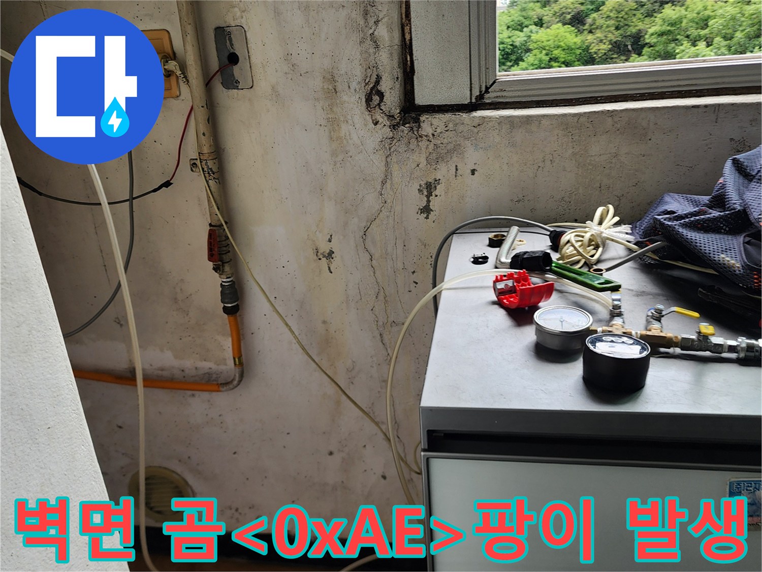습기가 머문 벽면의 검은 곰팡이와 배관 주변 오염