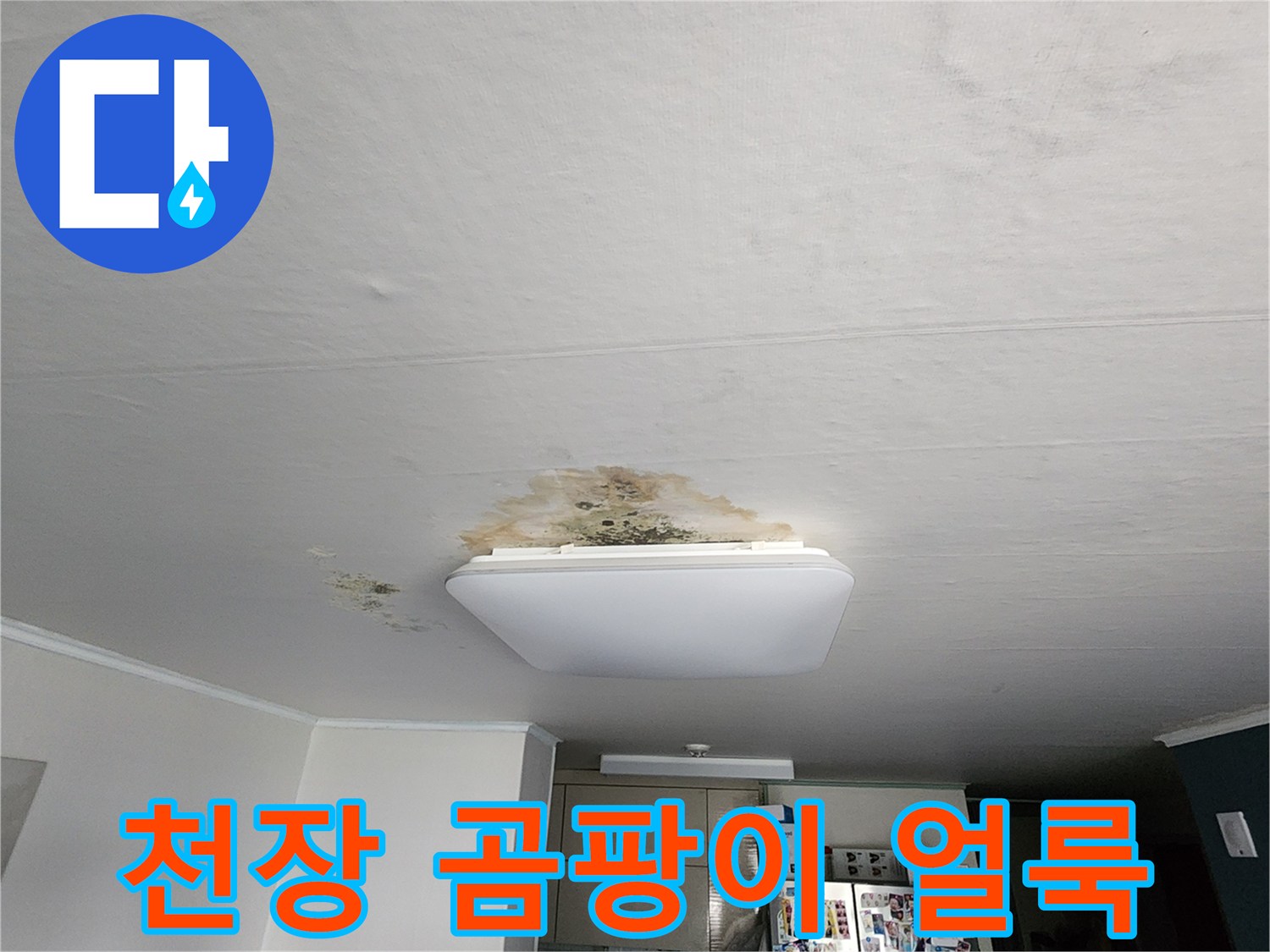 주방 천장 마감재에 나타난 누수로 인한 곰팡이와 변색 부위