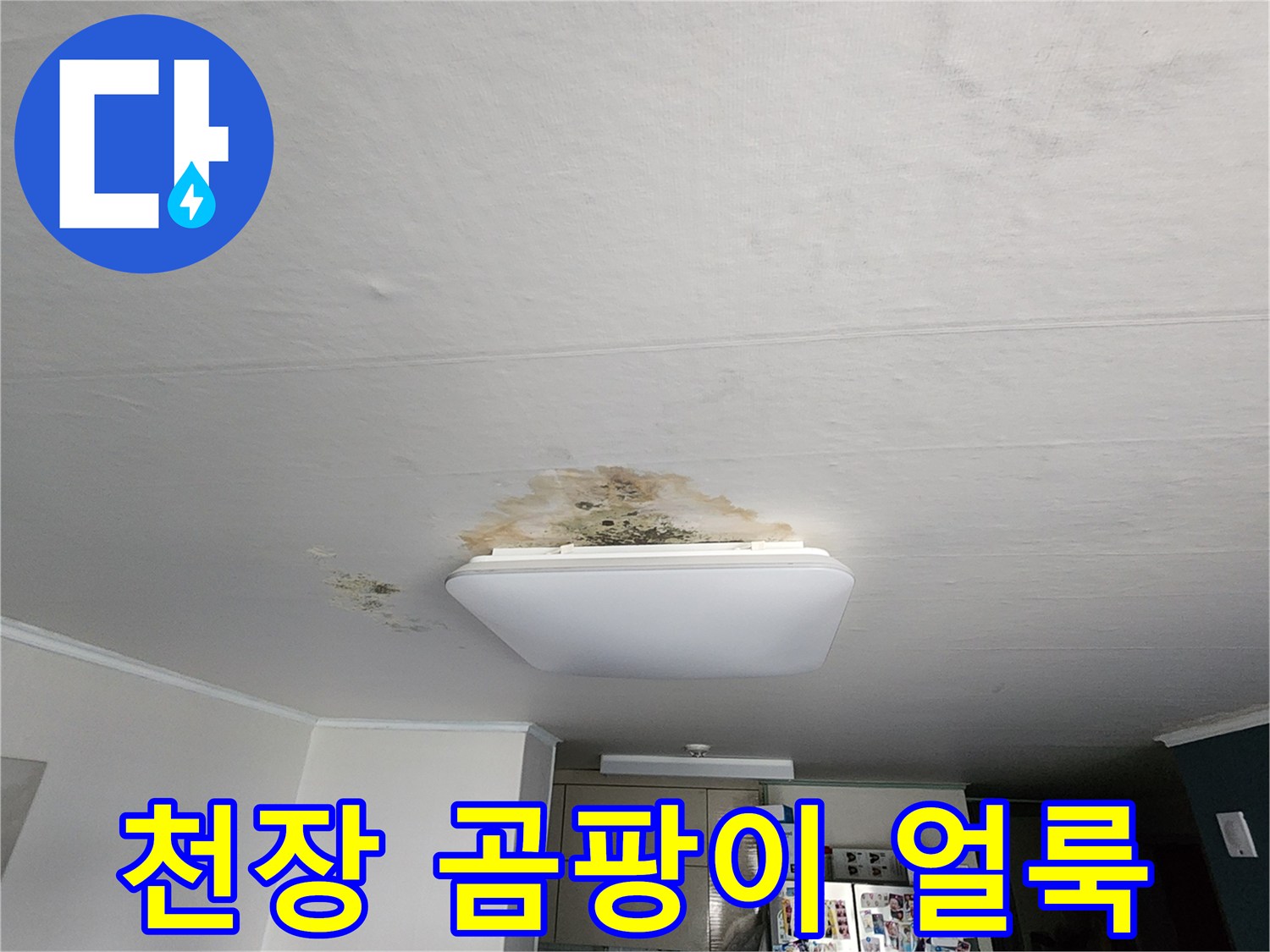 천장 조명 근처-스며든 물로 인한 곰팡이와 변색 부위