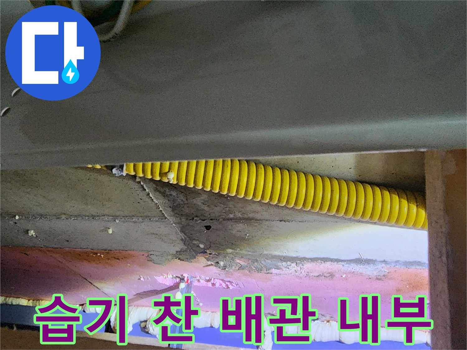 노란색 주름관 주변의 젖은 천장 마감재와 전기 배선 부위