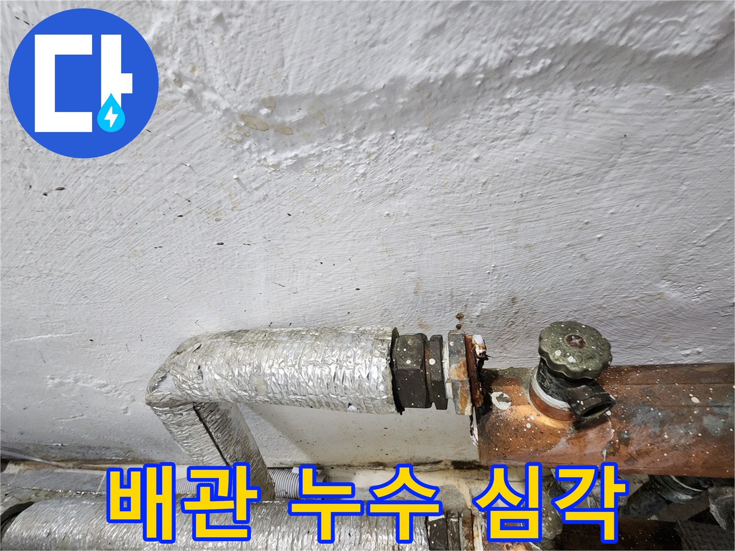 양천구 신월동 누수 - 낡은 배관에서 심각한 누수 발생