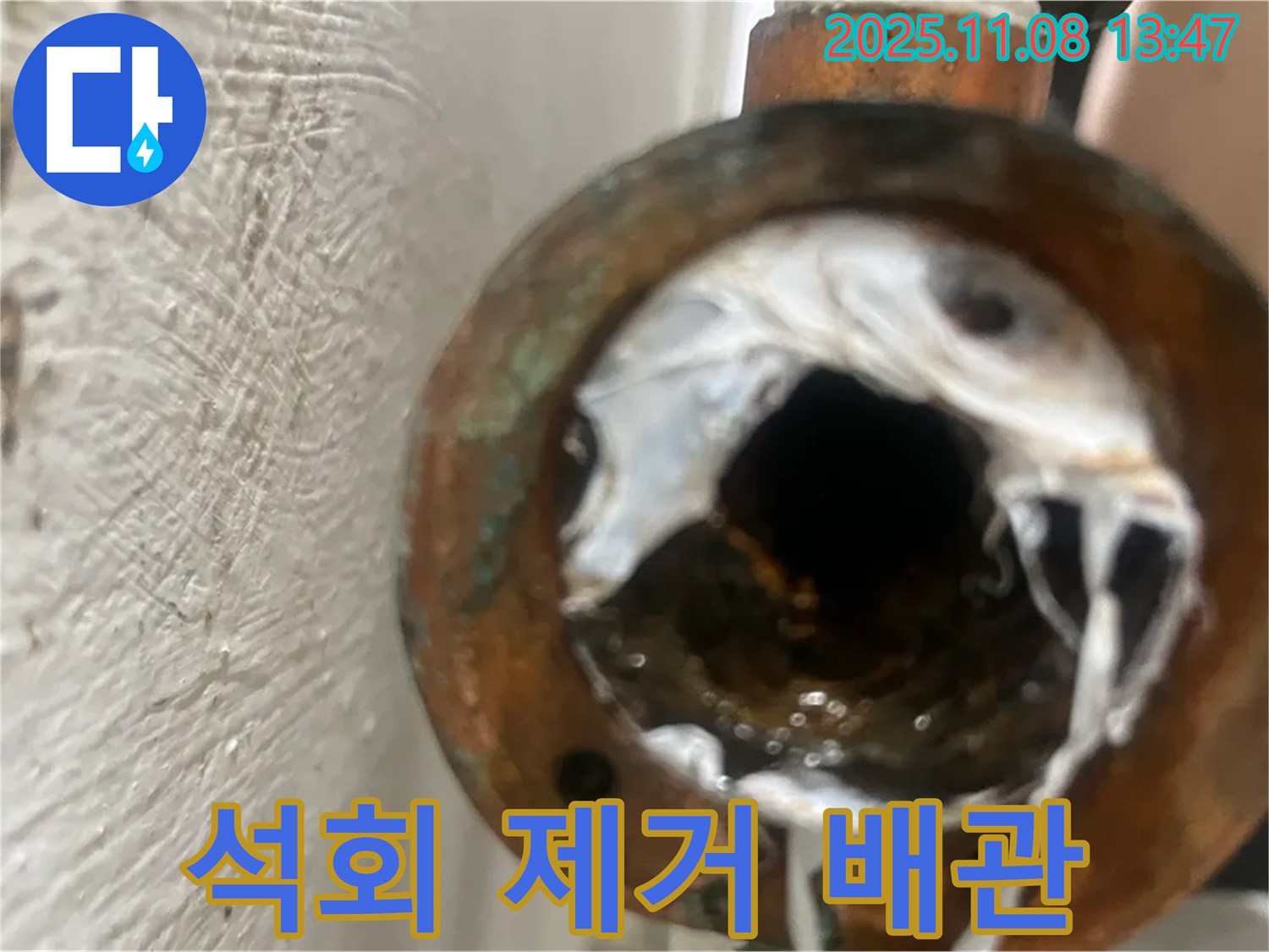 양천구 신월동 누수 현장 - 석회 제거 후 깨끗해진 배관 내부를 확인하세요 - 이제 안심하고 물을 사용하세요.