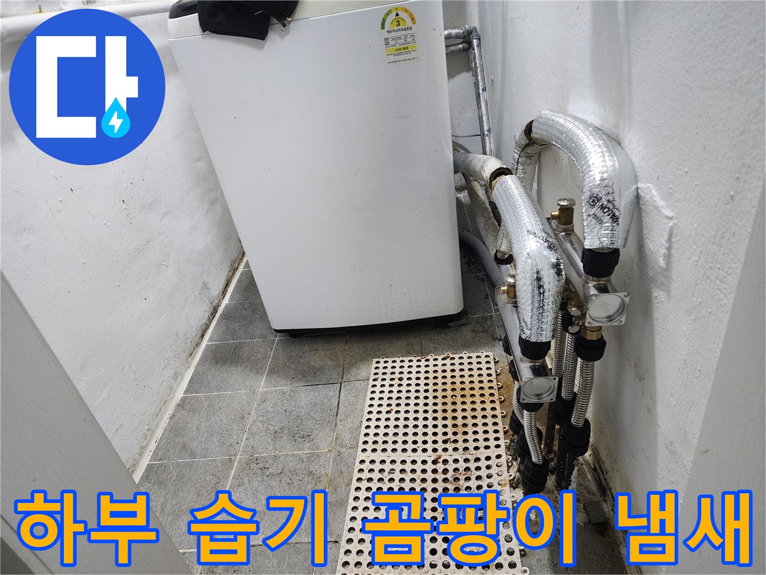 양천구 신월동 한일주택 세탁기 - 세탁기 하부 습기 및 곰팡이 냄새 확인