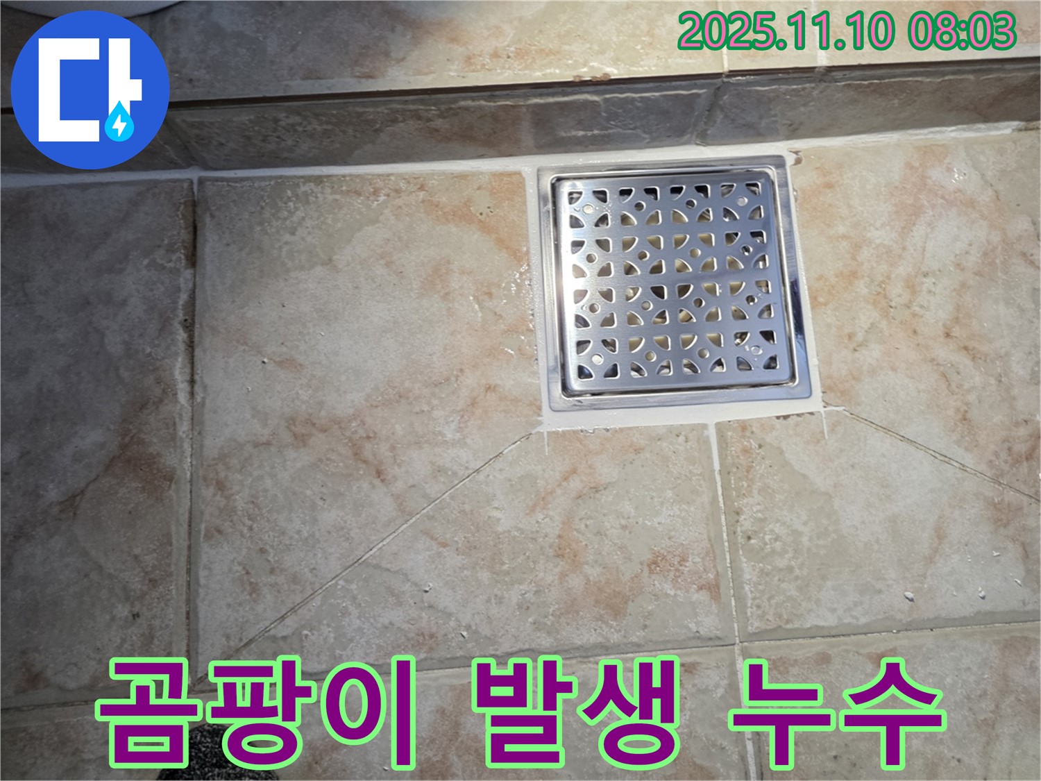 안양 만안구 초원맨션 욕실 곰팡이 발생 누수 - 곰팡이 제거와 누수 해결을 동시에