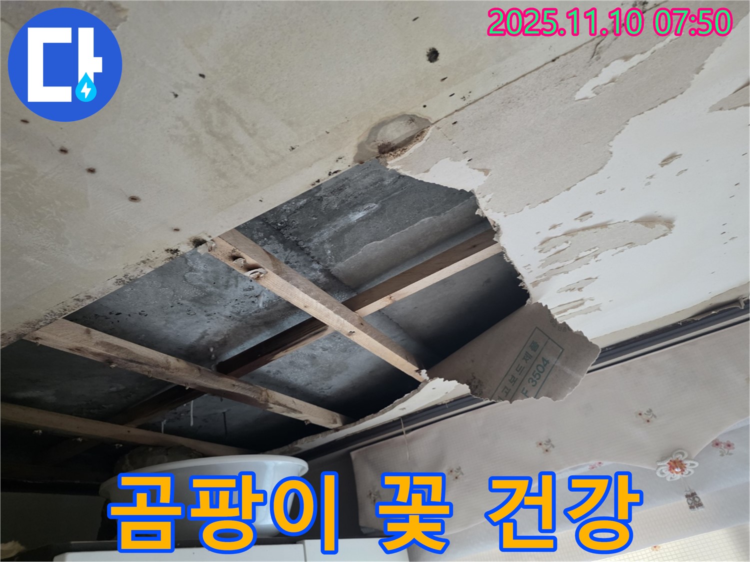 안양 초원맨션 누수 - 석고보드에 곰팡이가 핀 모습 - 건강에 매우 해롭습니다.