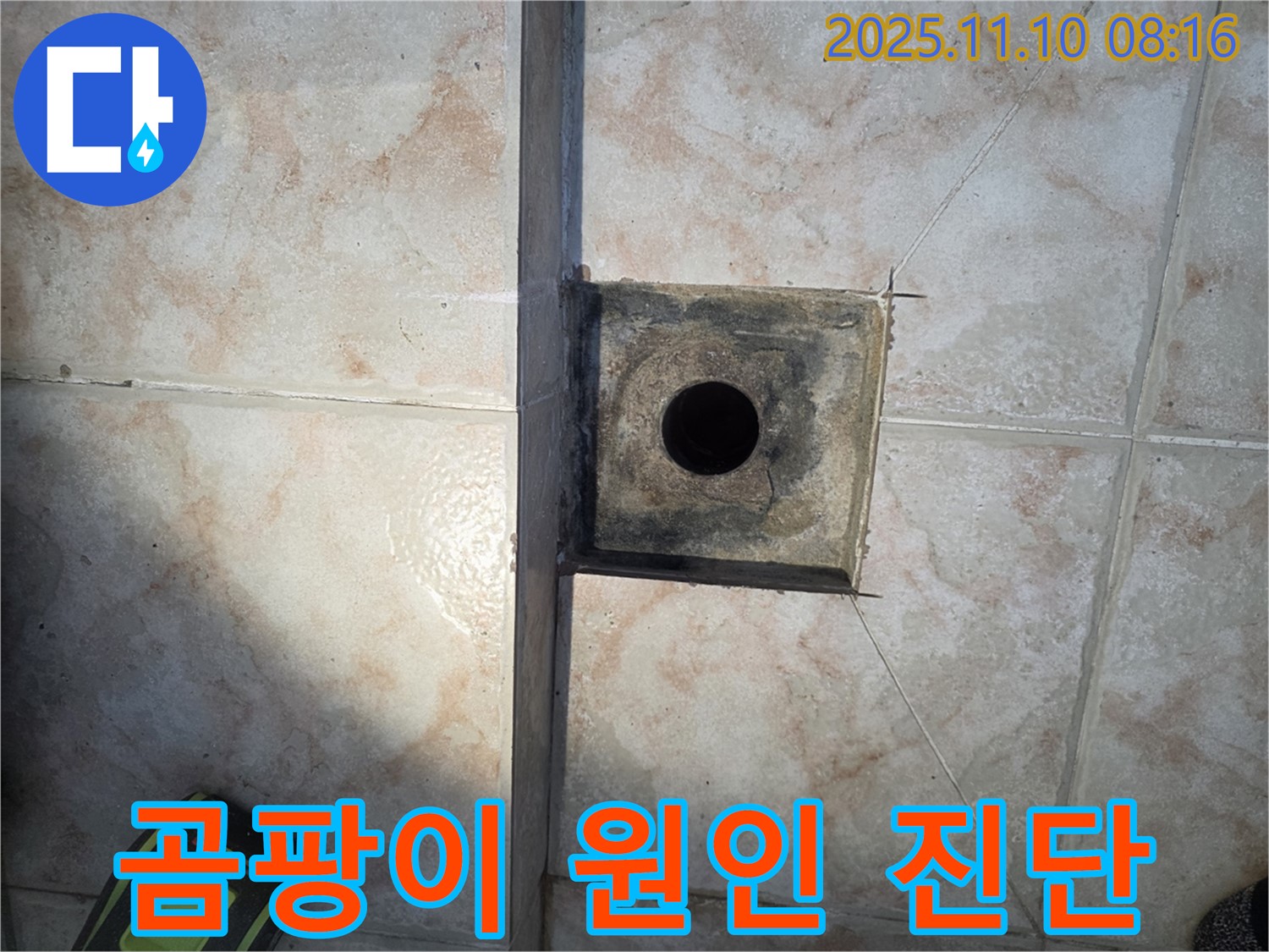 안양 초원맨션 욕실 하수구 - 곰팡이 발생 원인과 누수 연관성 진단