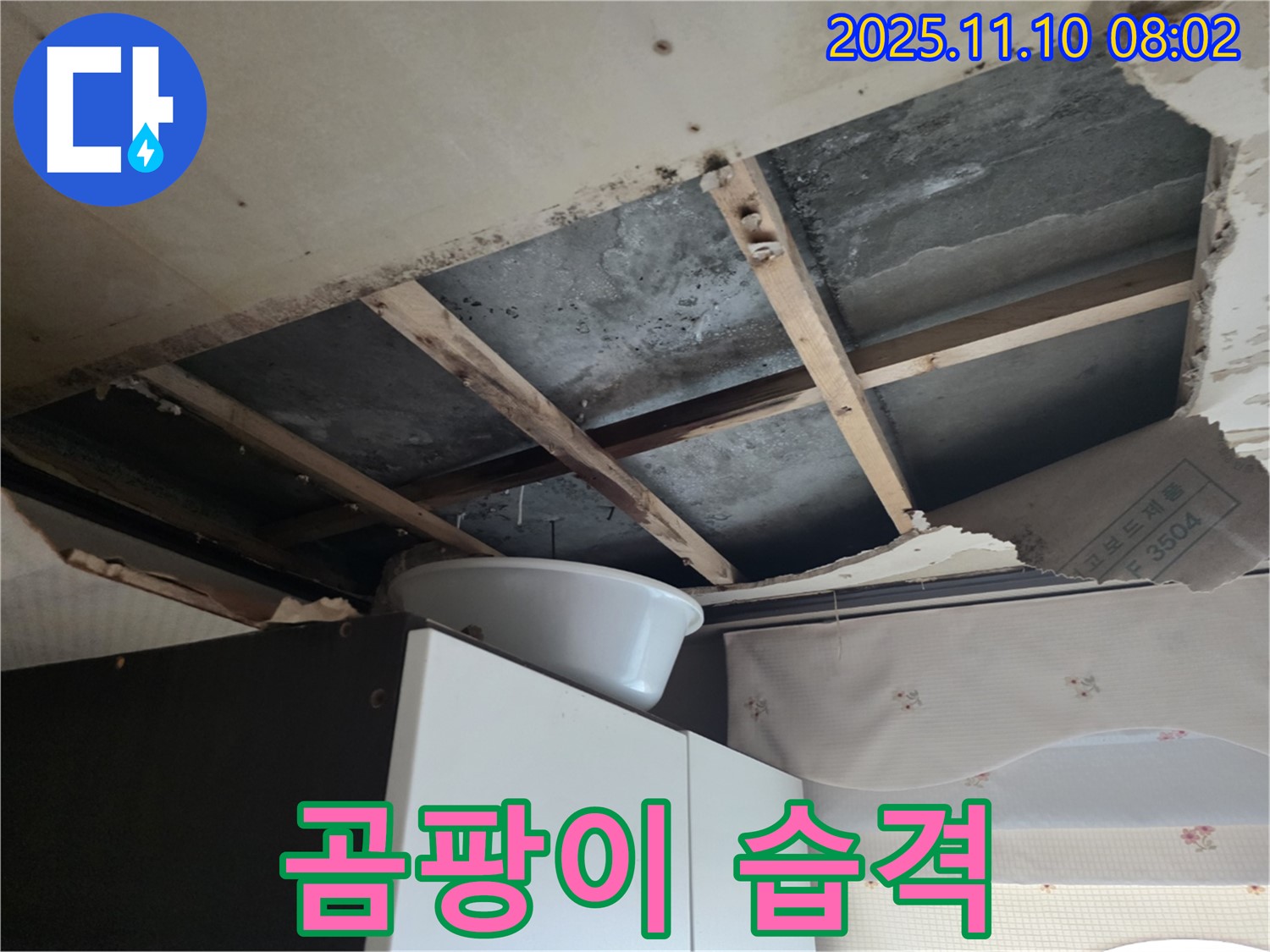 초원맨션 천장 누수 - 곰팡이가 천장을 습격했습니다 - 안양 누수가 긴급 방역 & 쾌적한 공간 만들기에 나섭니다.