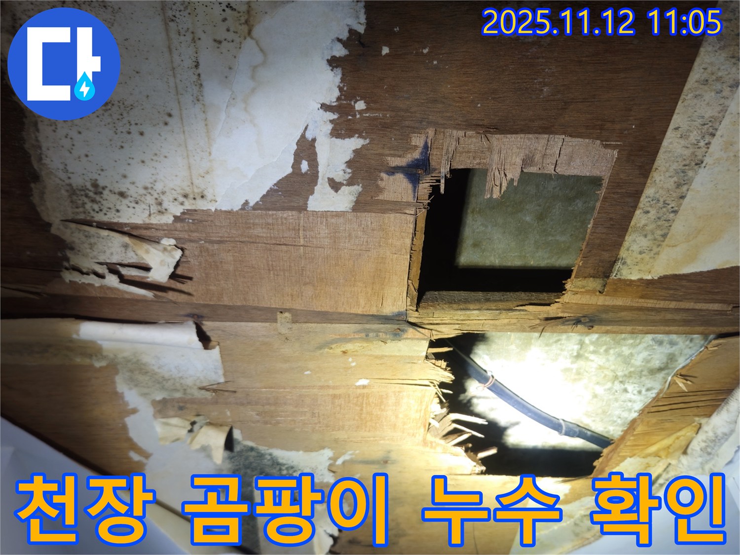 신림동-신림하이츠빌라 천장에 발생한 곰팡이-누수로 인한 심각한 습기 문제를 보여줍니다.