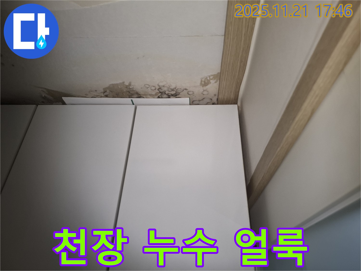 관악구에서 발견된 천장 누수 얼룩 - 윗집 문제 가능성 진단