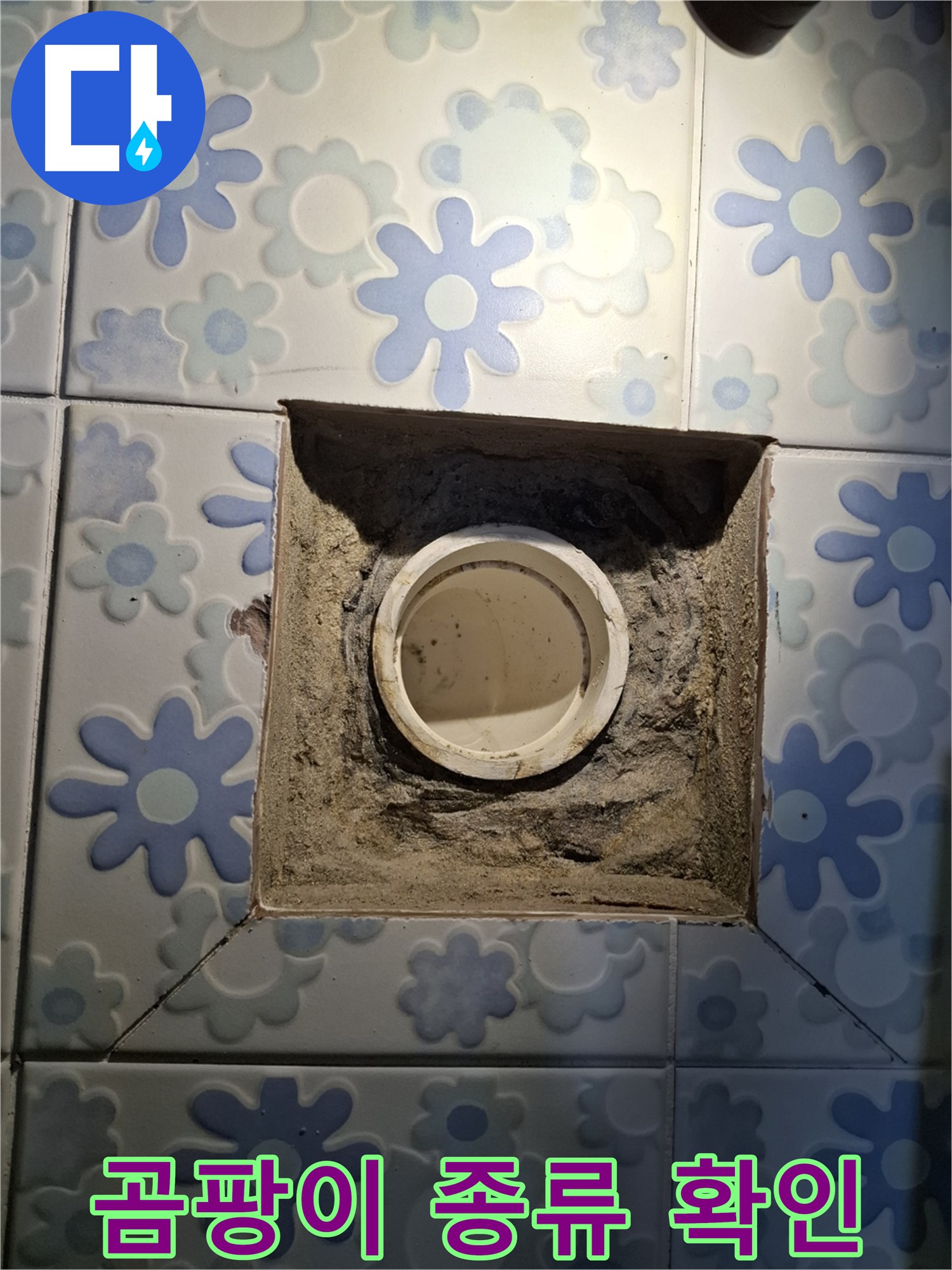 배관 표면 곰팡이 종류 확인 - 곰팡이 서식 환경 분석