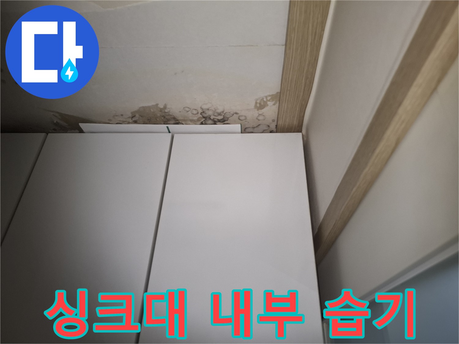 싱크대 내부에 습기가 가득 찬 모습 - 천장 누수가 원인일 수 있습니다.