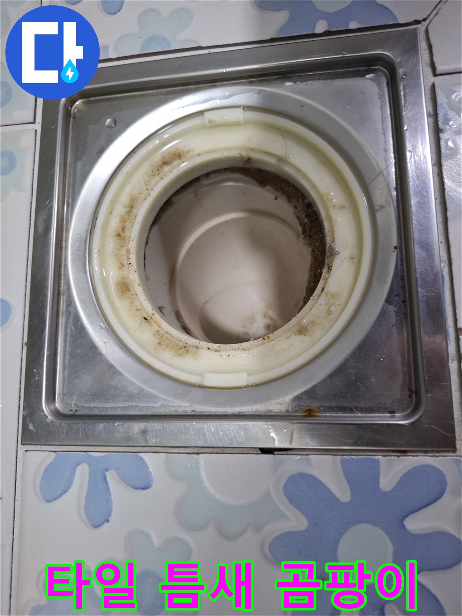 욕실 배수구 주변 타일 틈새 검은 곰팡이 - 누수