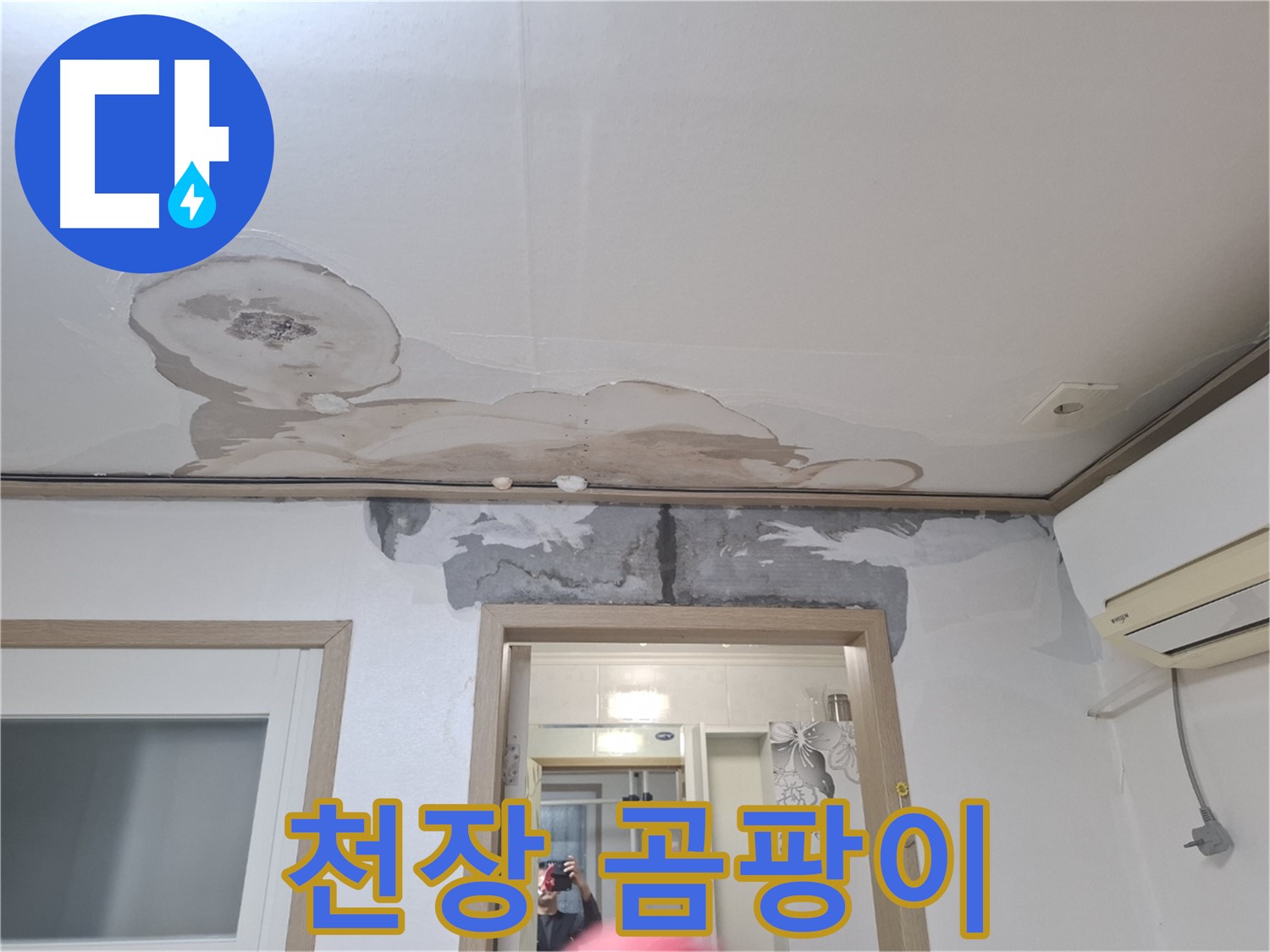 천장 곰팡이 발생 - 윗집 누수 의심