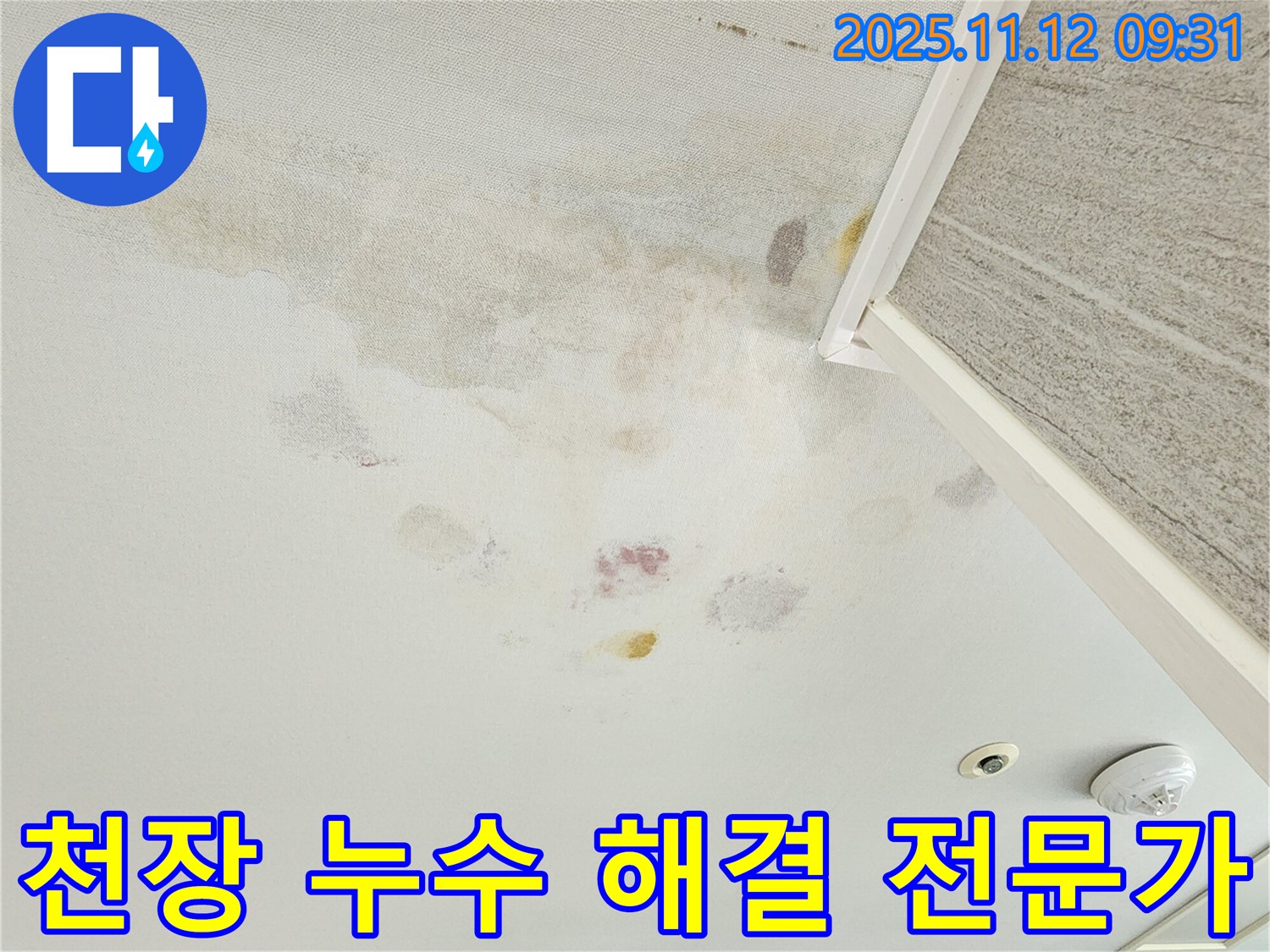 경기도 포천시 소흘읍 누수 - 천장 누수 해결 전문가의 노하우