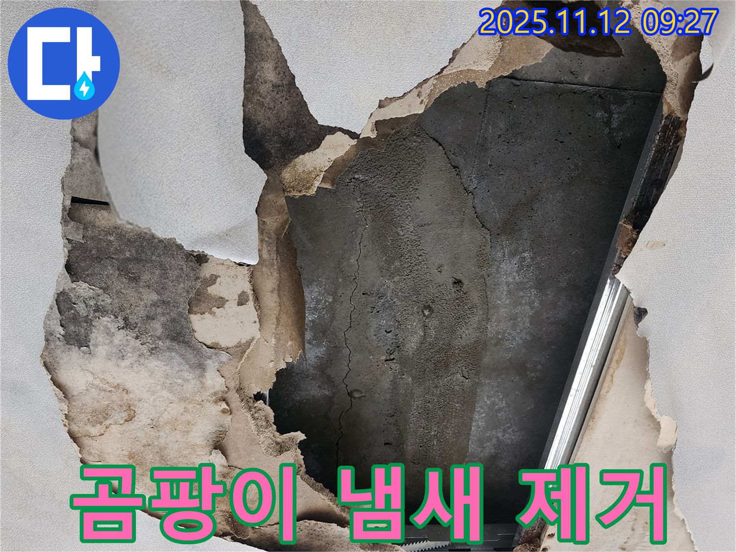곰팡이 냄새 제거 - 쾌적한 공간으로 만들어 드립니다.