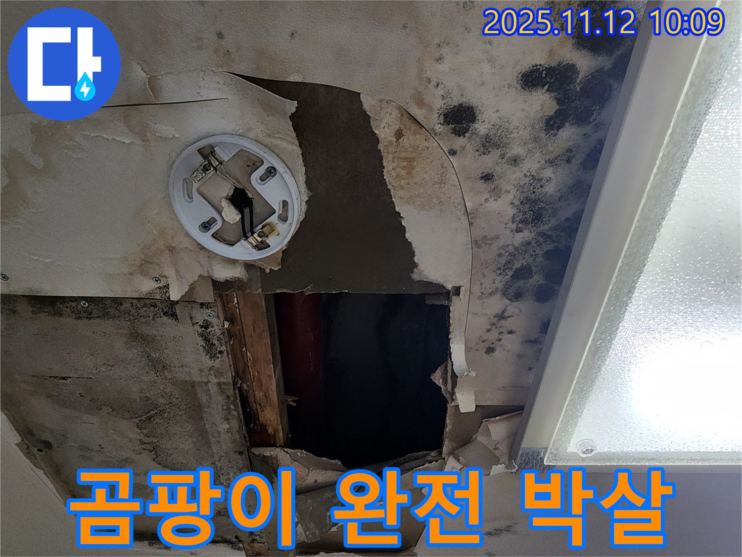곰팡이 제거 시공 - 친환경 약품으로 곰팡이 완벽 제거 및 방지