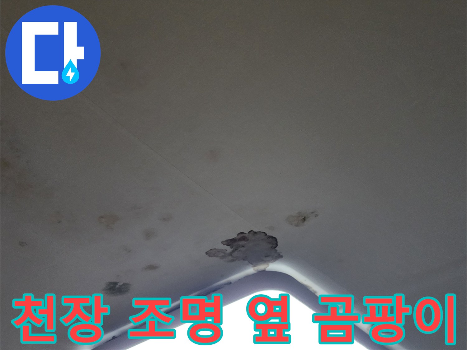 누수 피해로 인해 오염된 천장 마감재와 곰팡이 흔적