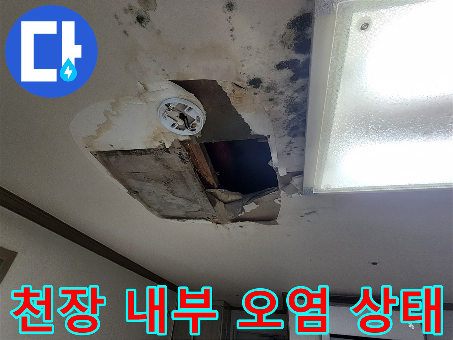 누수로-오염된-아파트-거실-천장의-곰팡이-상태