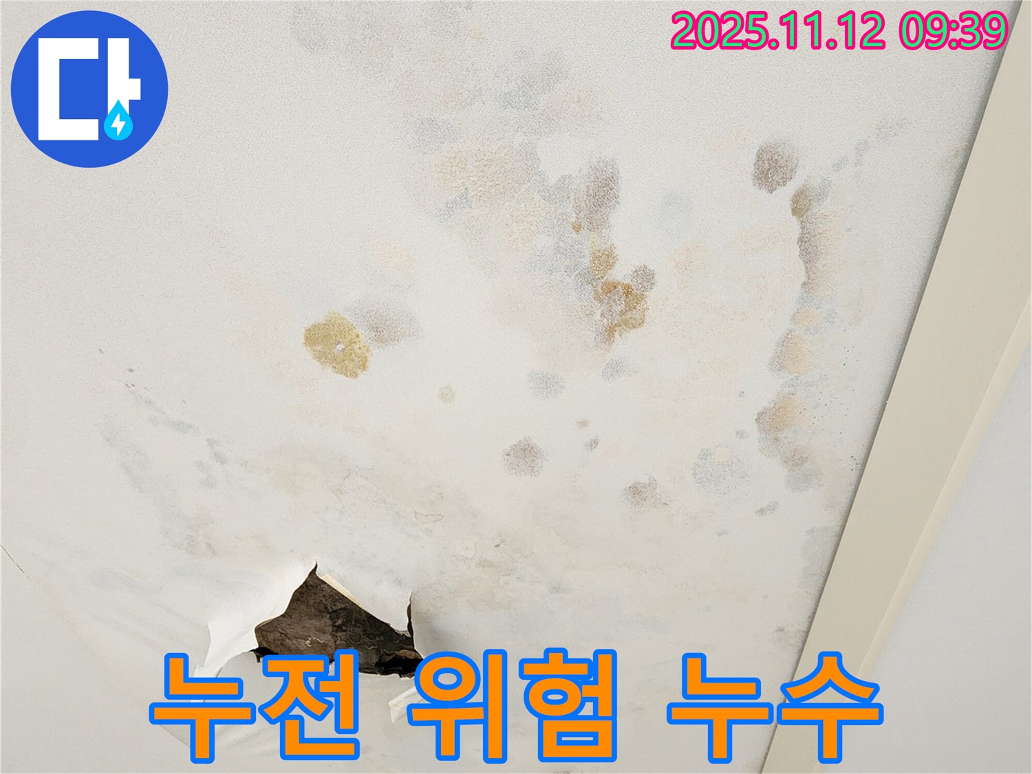 누전 위험 - 천장 누수 - 전기 안전 점검 필수